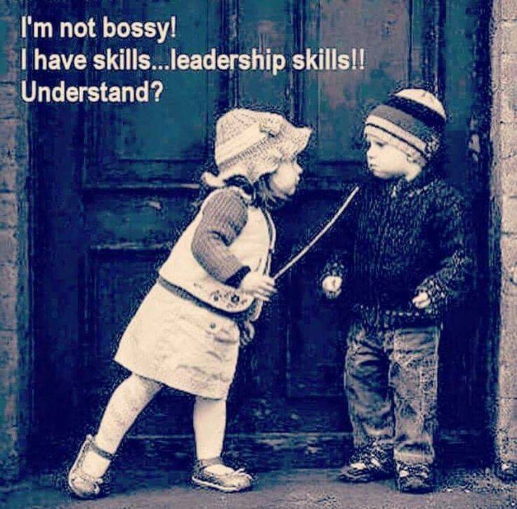 workandtraveller-skills