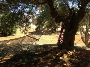 puglia-hammock