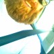 Profile picture of Ben