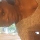 Profile picture of Dorcas