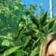 Profile picture of Sydney Miller