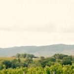 Profile picture of Katherine