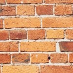 Profile picture of Christina