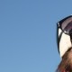 Profile picture of Thomas