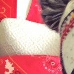Profile picture of Stephanie