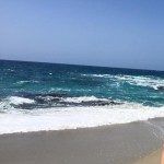 Profile picture of Niki Cody