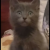 Profile picture of Salma