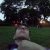 Profile picture of Francisco