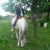 Profile picture of CHIHHUNG