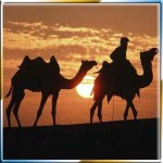 camel-safari-10296