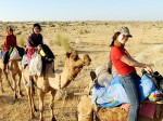 camel-safari-Jaisalmer-565