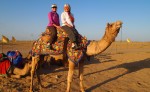 camel-safari-in-rajasthan-india