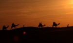 camel-safari-jaisalmer-2