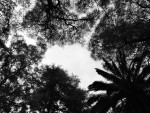 20150813_093758 (2)