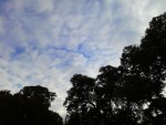 20150813_094752