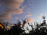 20150816_185222