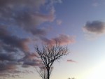20150816_185950