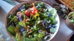 gardensalad