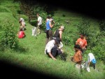 Spanish student group.planting  tree spalings .