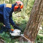 Group logo of Logger/Tree Feller