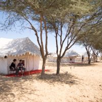 RAO BIKAJI CAMEL SAFARI CAMP