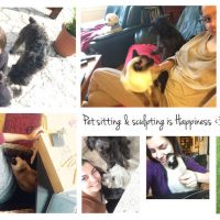Animal care, Pet Sitting, Volunteering with animals