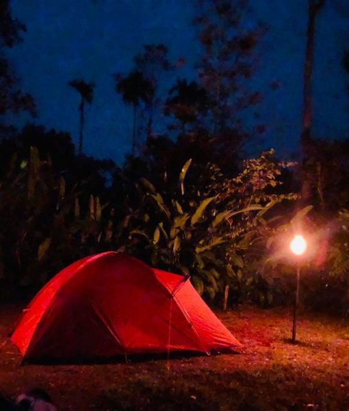 Camping