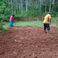 land preparation 