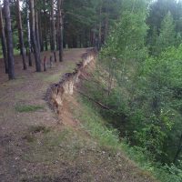 IMG_20150713_153845 