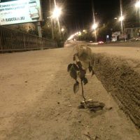 IMG_20150815_023210 