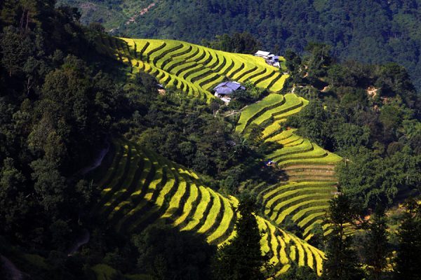 images1432401_RUONG_BAC_THANG_TA_SU_CHONG